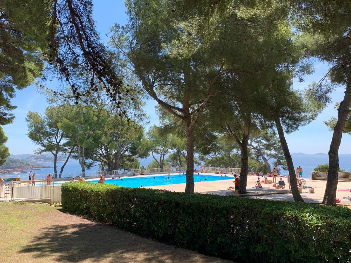 Horizon Bleu Bandol : Appartement Pieds Dans L'Eau Exterior foto